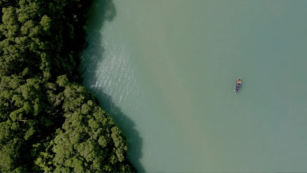 Jaws in the Shallows (2023) movie still: establishing — A dense green forest grows along the edge of a wide, murky river. A single small motorboat…