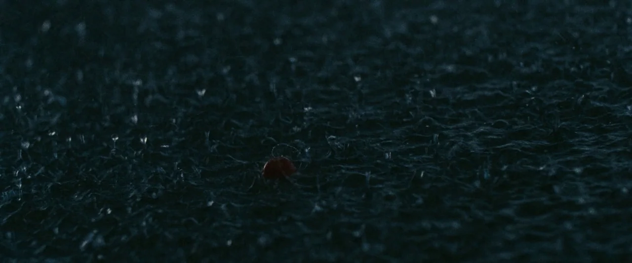 All Dirt Roads Taste of Salt (2023) movie still: closeup — Raindrops strike a dark, textured asphalt surface at night. A small red object rests on…