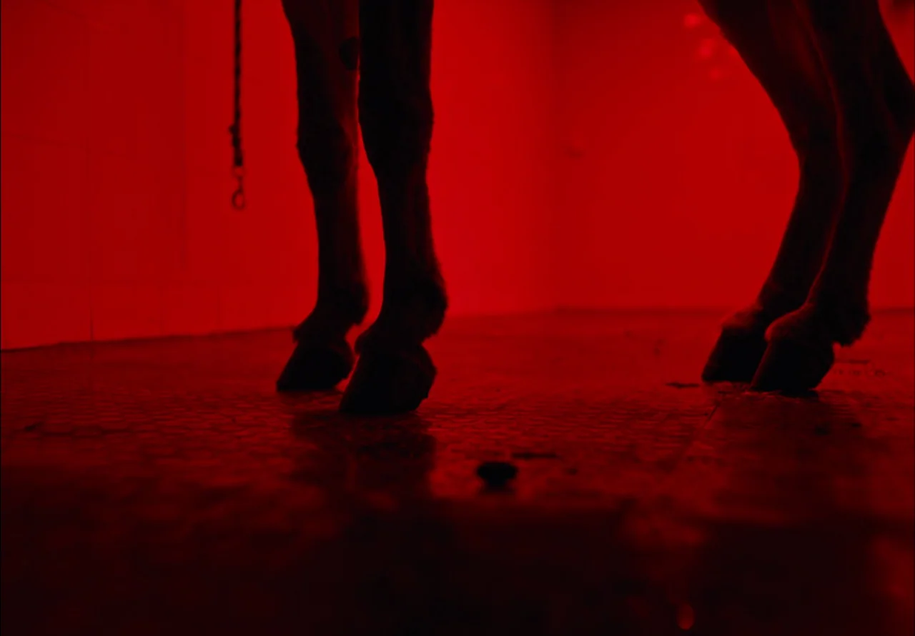 EO (2022) movie still: closeup — A stable floor covered in textured tiles is illuminated by a deep red light. The lower legs and hooves of a horse…