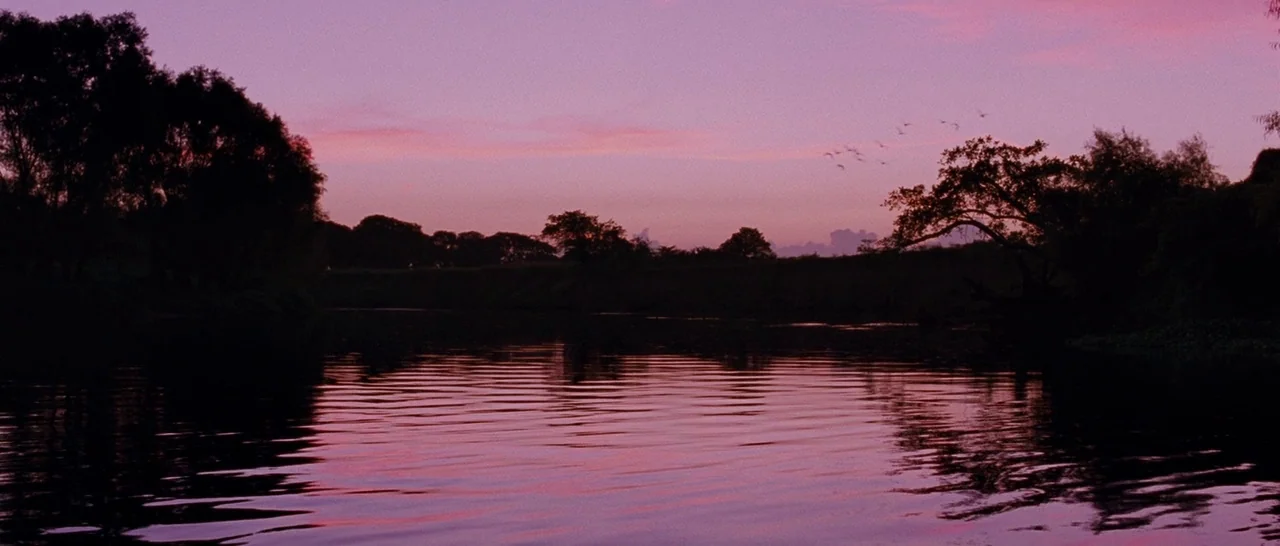 Sin Nombre (2009) movie still: establishing — A dark river reflects the vibrant pink and purple hues of a sunset sky. Silhouetted trees line the…