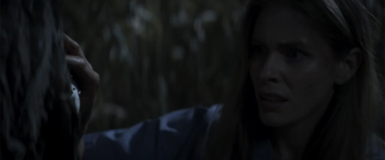 Treblinka's Last Witness (2012) movie still: medium — A dark night setting within a dense patch of tall standing dry corn stalks. A woman in a blue…