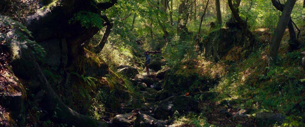 Okja (2017) movie still: wide — A dense forest floor covered in moss-covered rocks and overgrown trees with dappled sunlight. A young woman in a…