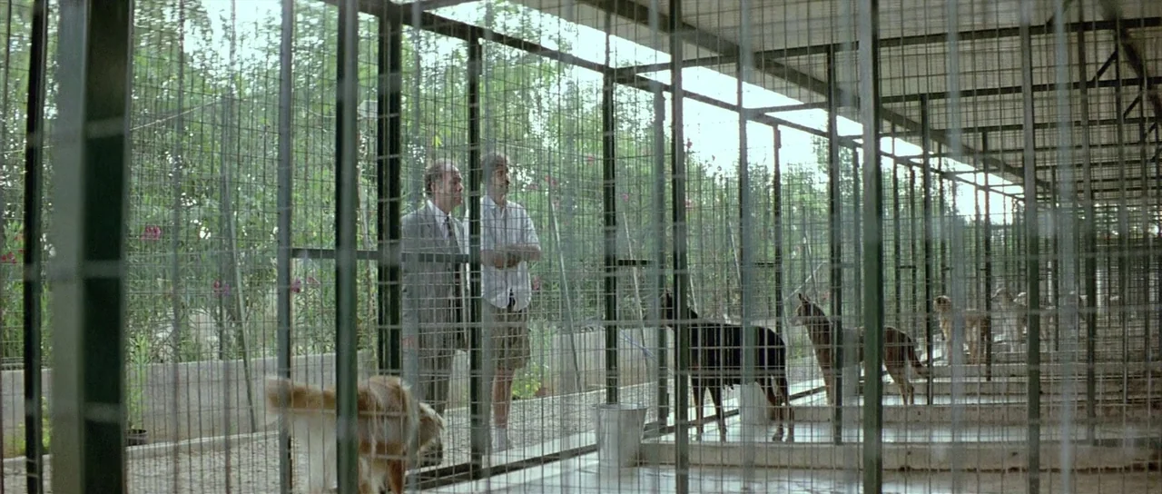 Dogtooth movie still: wide — An outdoor animal facility features numerous wire-mesh partitions arranged in a long row. Two men stand together,…
