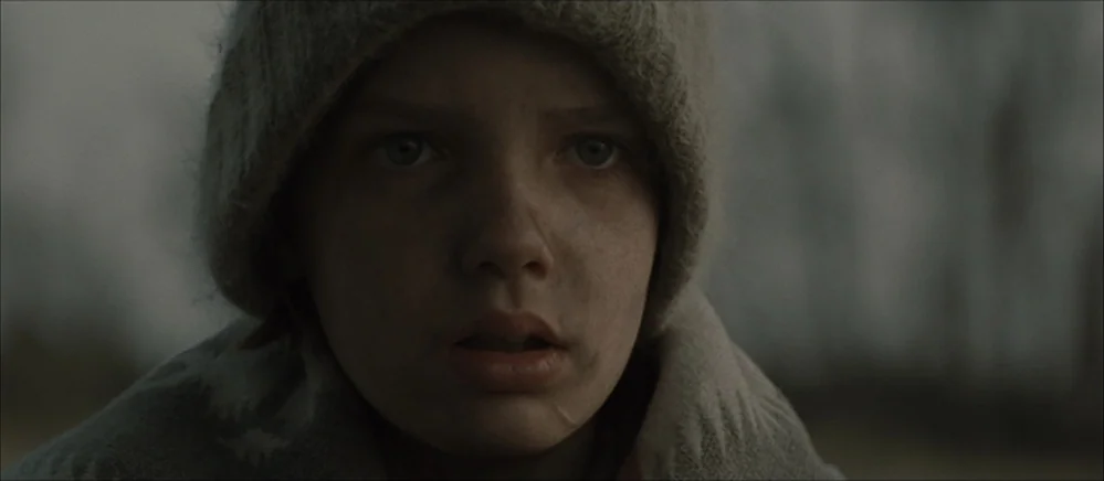 The Road (2009) movie still: closeup — A young boy stands in an overcast landscape with blurry muted trees in the background. The child faces the…