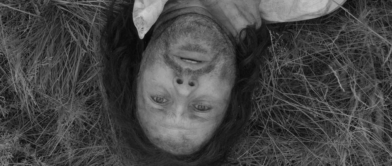 A Field In England (2013) movie still: closeup — A man lies supine in a thick patch of tall, unkempt grass. His face is weathered and his eyes are…