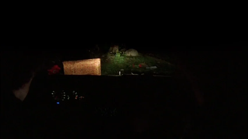 Old Joy (2006) movie still: wide — A dark road at night illuminated by vehicle headlights showing an object ahead. A reflective rectangular barrier…