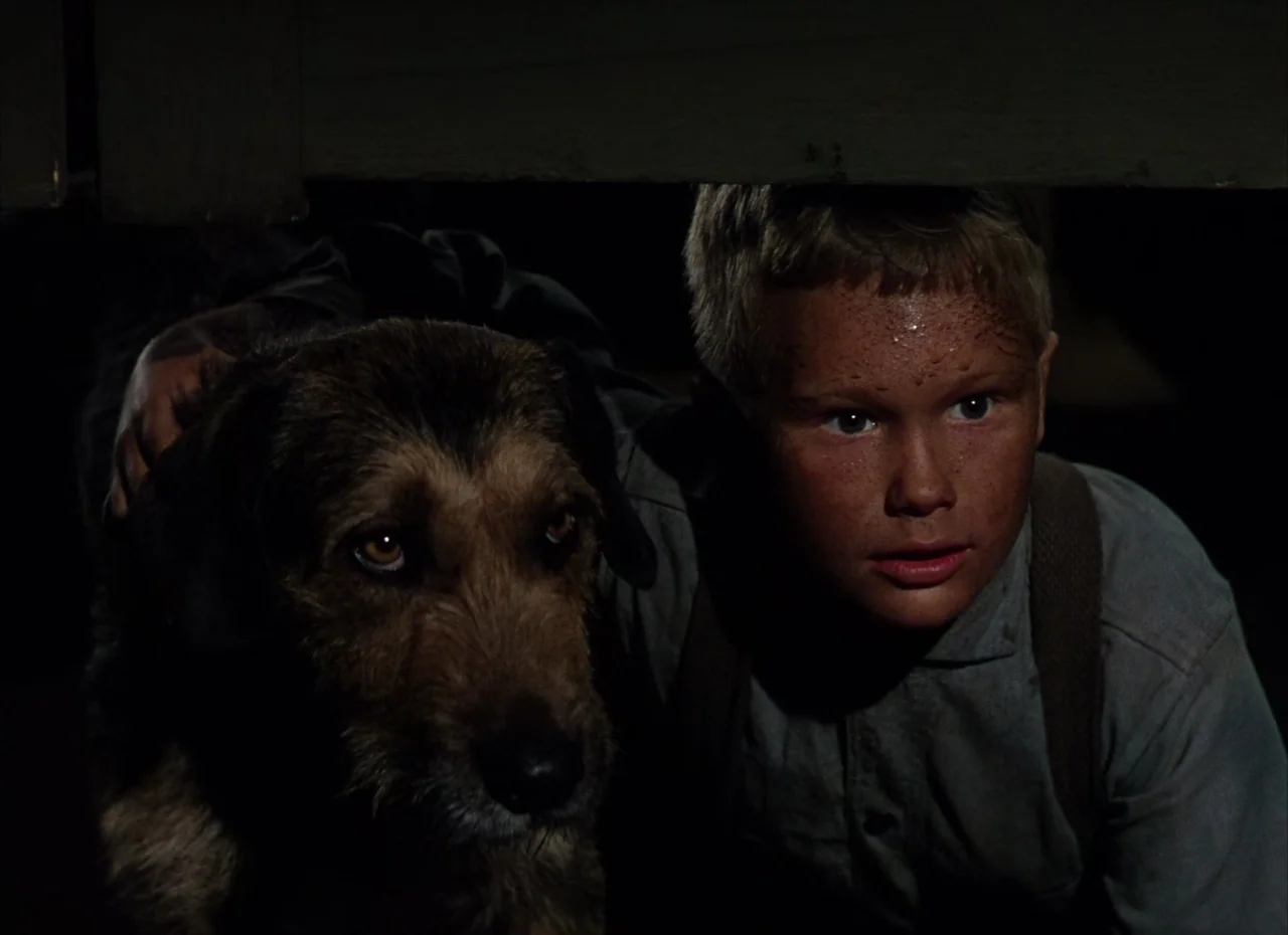 Shane (1953) movie still: closeup — A young boy and a shaggy dog crouch together in a dark, enclosed space. They observe something off-screen while…