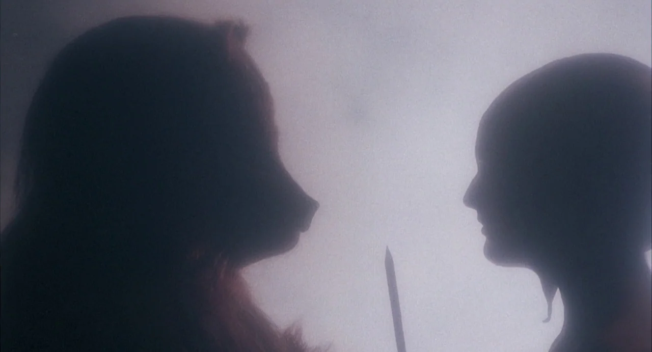 Conquest (1983) movie still: medium — Two distinct silhouettes face each other against a bright, featureless, fog-like light source. A vertical…