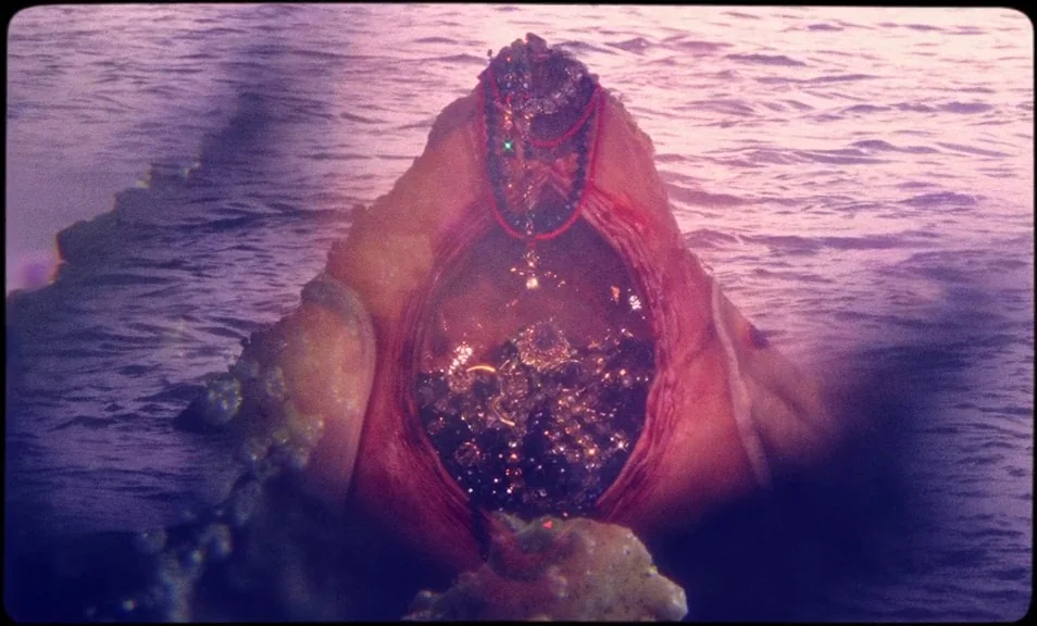 The Wild Boys (2017) movie still: closeup — A fleshy, conical object emerges from rippling water with a large central cavity. The cavity contains…