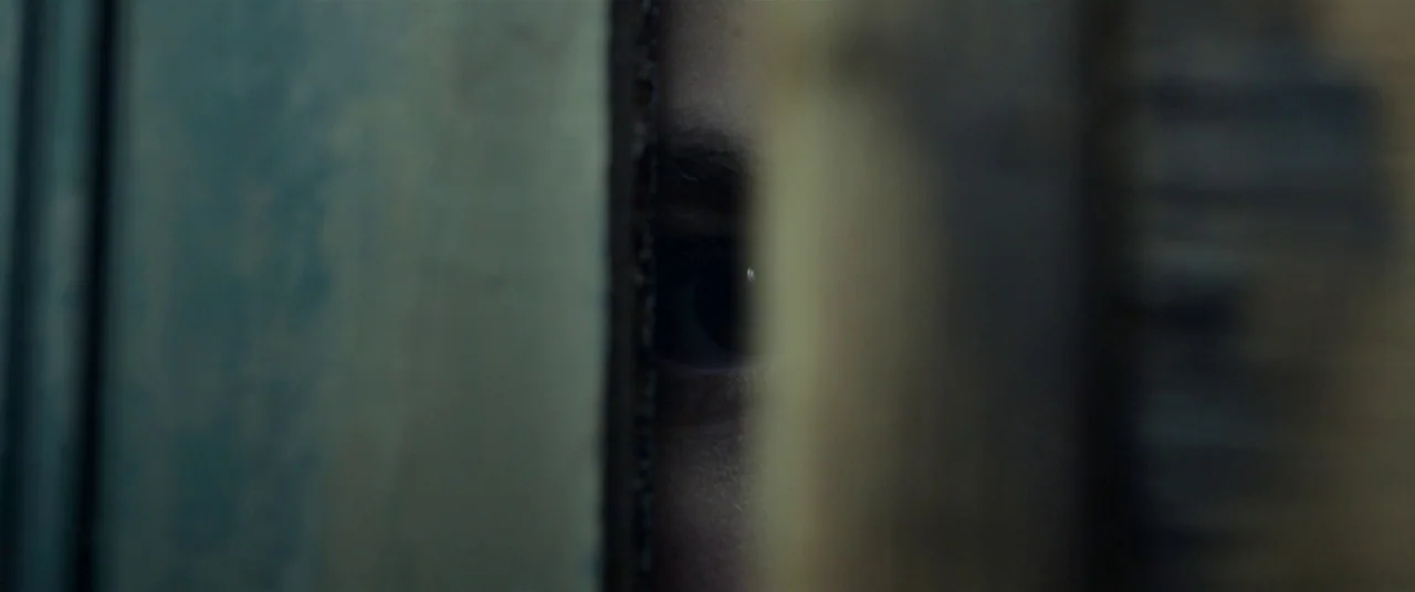 Split (2016) movie still: closeup — Vertical wooden panels partially obstruct the view of an interior space. One human eye is visible looking out…