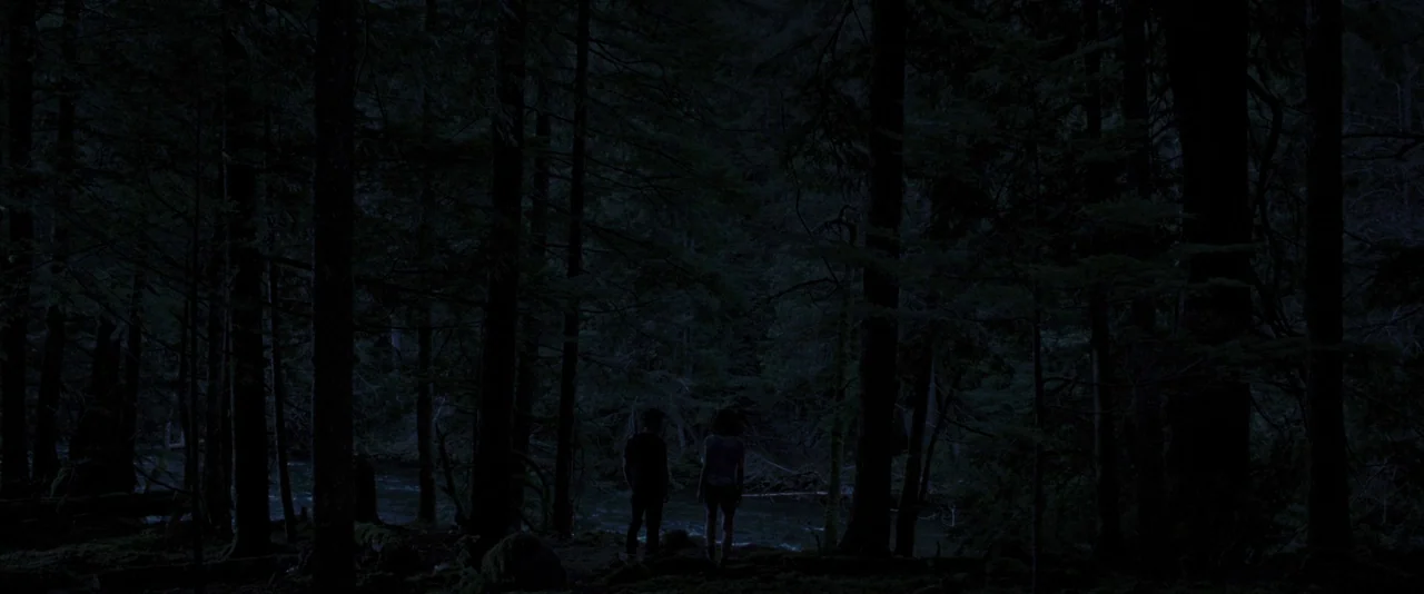 The Twilight Saga: Breaking Dawn – Part 1 (2011) movie still: wide — A dense, dark forest interior at night featuring many towering evergreen trees.…