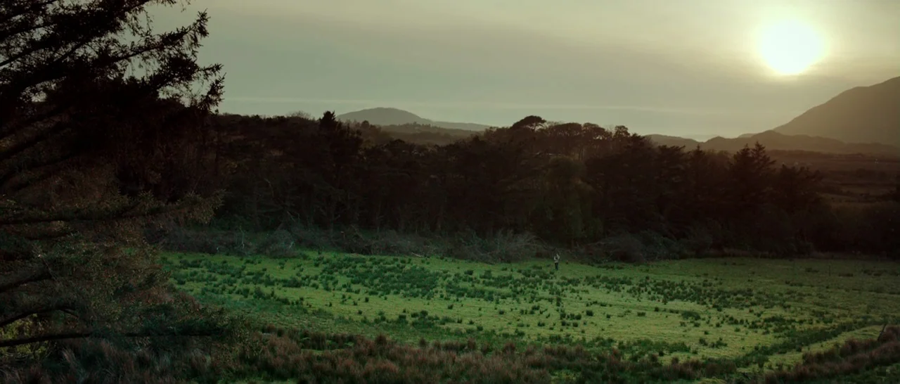 The Hallow (2015) movie still: wide — A wide valley filled with green grass and clumps of vegetation sits below trees. A low sun glows brightly in…