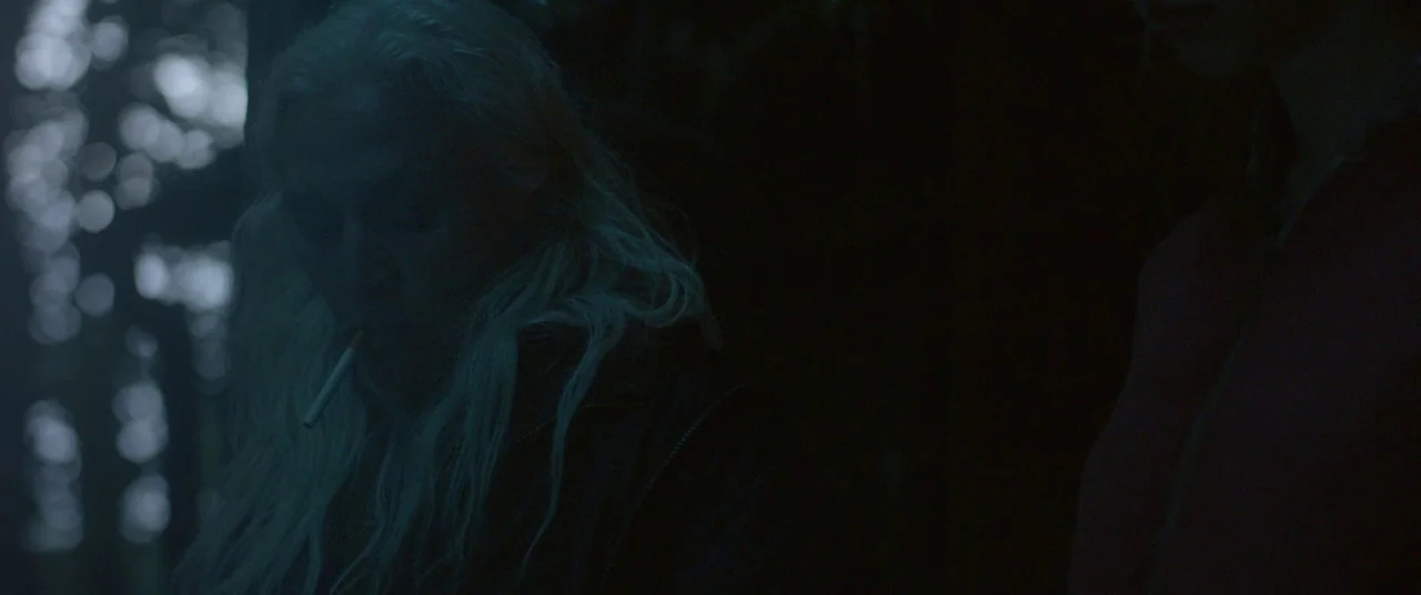 The Survivalist (2015) movie still: medium — A dark, densely wooded outdoor area obscured by shadow and low light. A person with long hair smokes a…