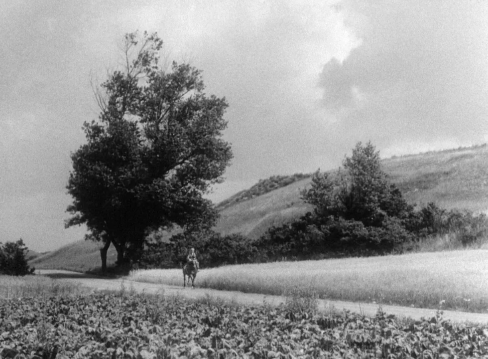 Smiles Of A Summer Night (1955) movie still: wide — A rural landscape features a dirt road lined with tall trees and fields. A single rider on…