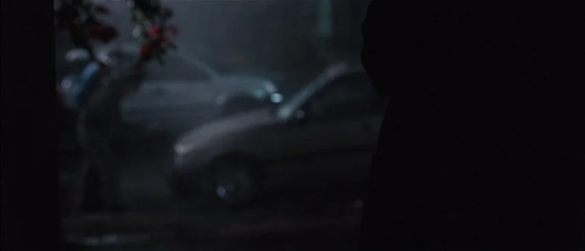 The Headless Woman (2008) movie still: wide — A dark night scene features a parking lot with two dimly visible automobiles. A red floral element…