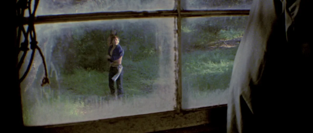 Friday the 13th Part III (1982) movie still: wide — A view through a grimy, multi-pane window shows a grassy outdoor area. A young man stands in the…