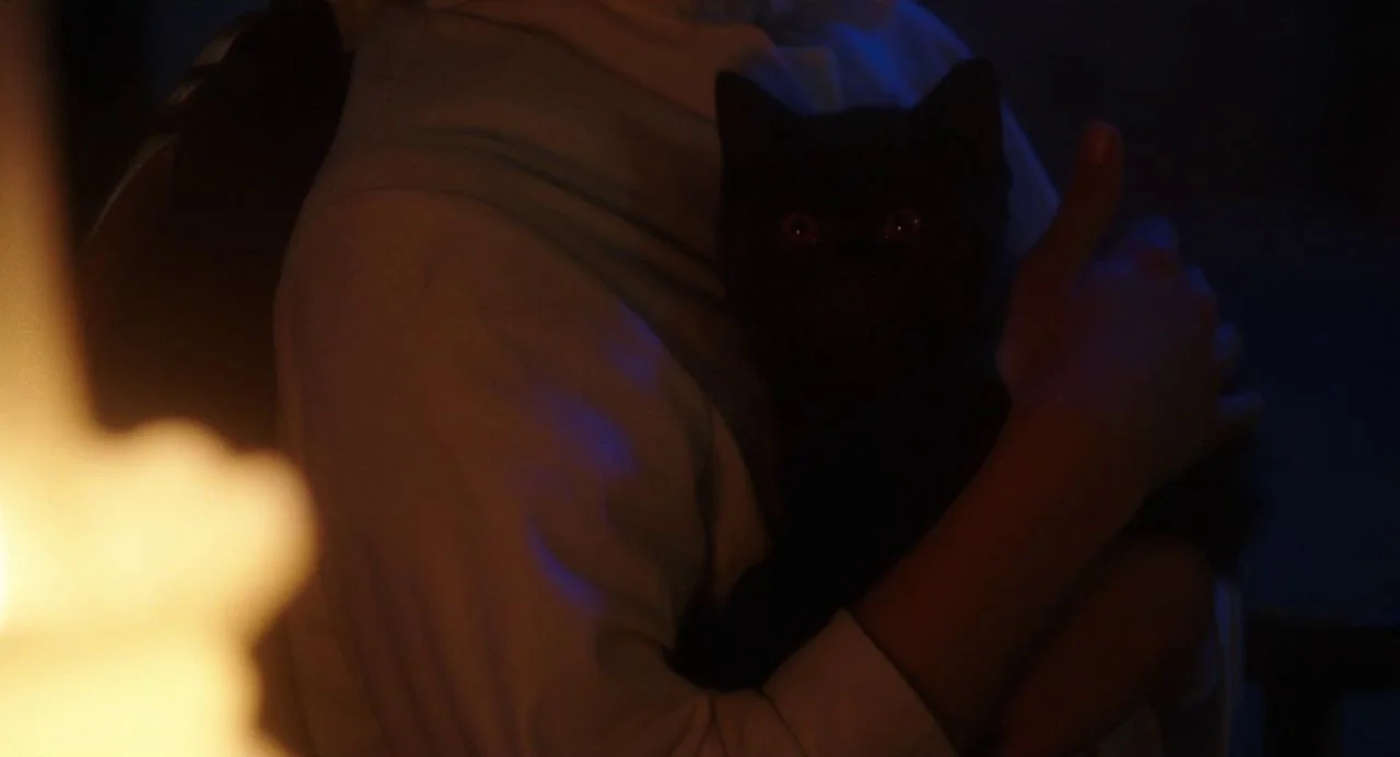 Tesla (2020) movie still: closeup — A person wears a white shirt in a dimly lit indoor space. They hold a small black cat close to their chest with…