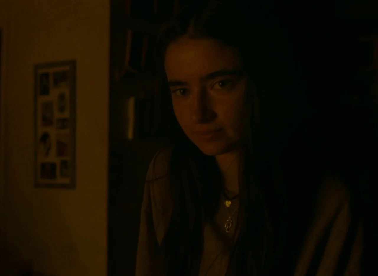 Falcon Lake (2022) movie still: closeup — A dark, dimly lit indoor space with a picture frame visible on the wall. A woman with long dark hair is…