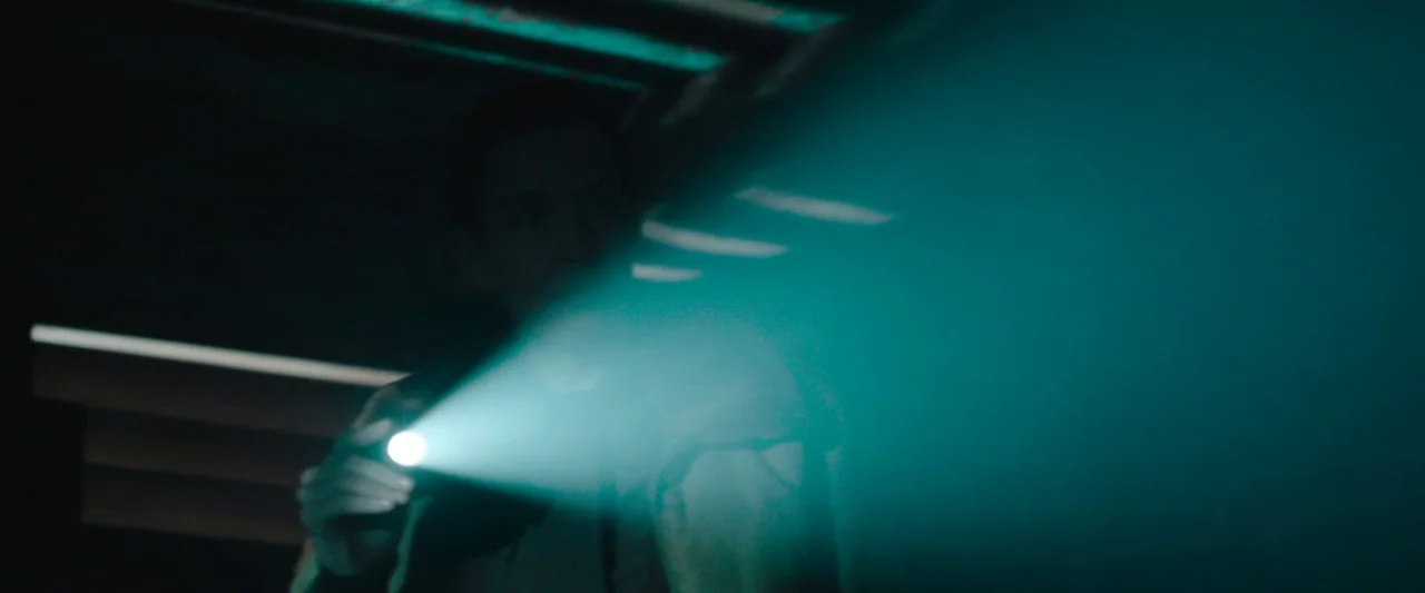 Wildling (2018) movie still: medium — A person stands in a dimly lit, shadowed space while holding a bright flashlight. The beam illuminates the…