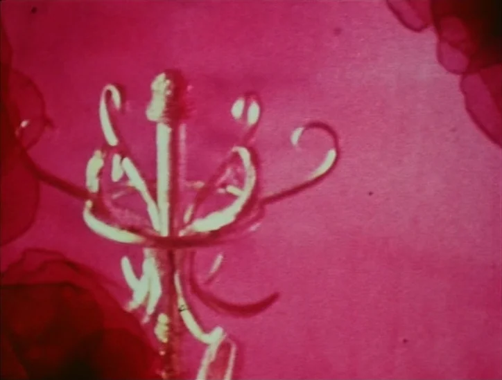 Pink Narcissus (1971) movie still: closeup — A freestanding metal coat rack is positioned against a solid vibrant pink background. Soft dark red…