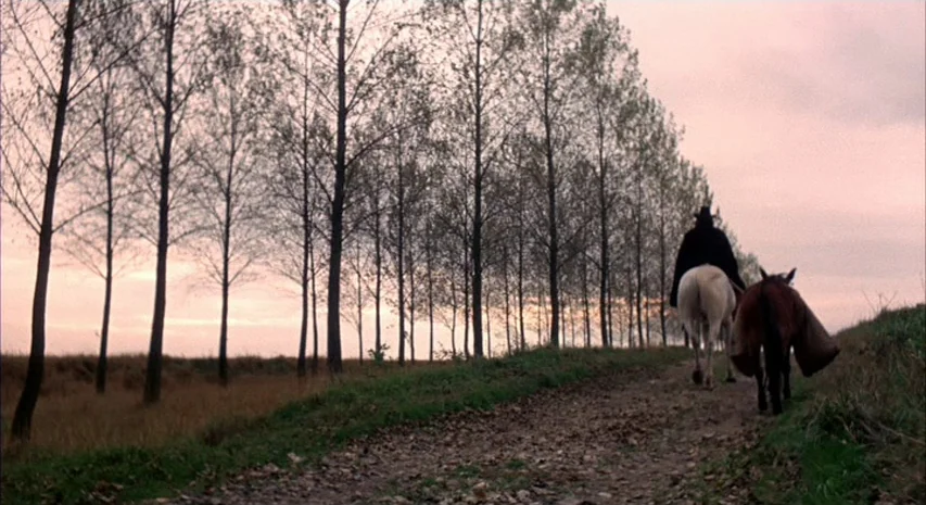 Witchfinder General (1968) movie still: wide — A dirt path lined by a row of tall leafless trees under a dusk sky. A lone traveler on horseback…