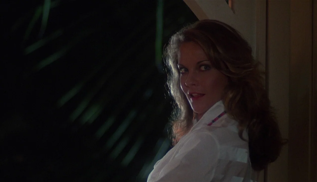 Body Heat (1981) movie still: closeup — A dark outdoor setting features dark foliage visible behind a person on a porch. A woman with light brown…