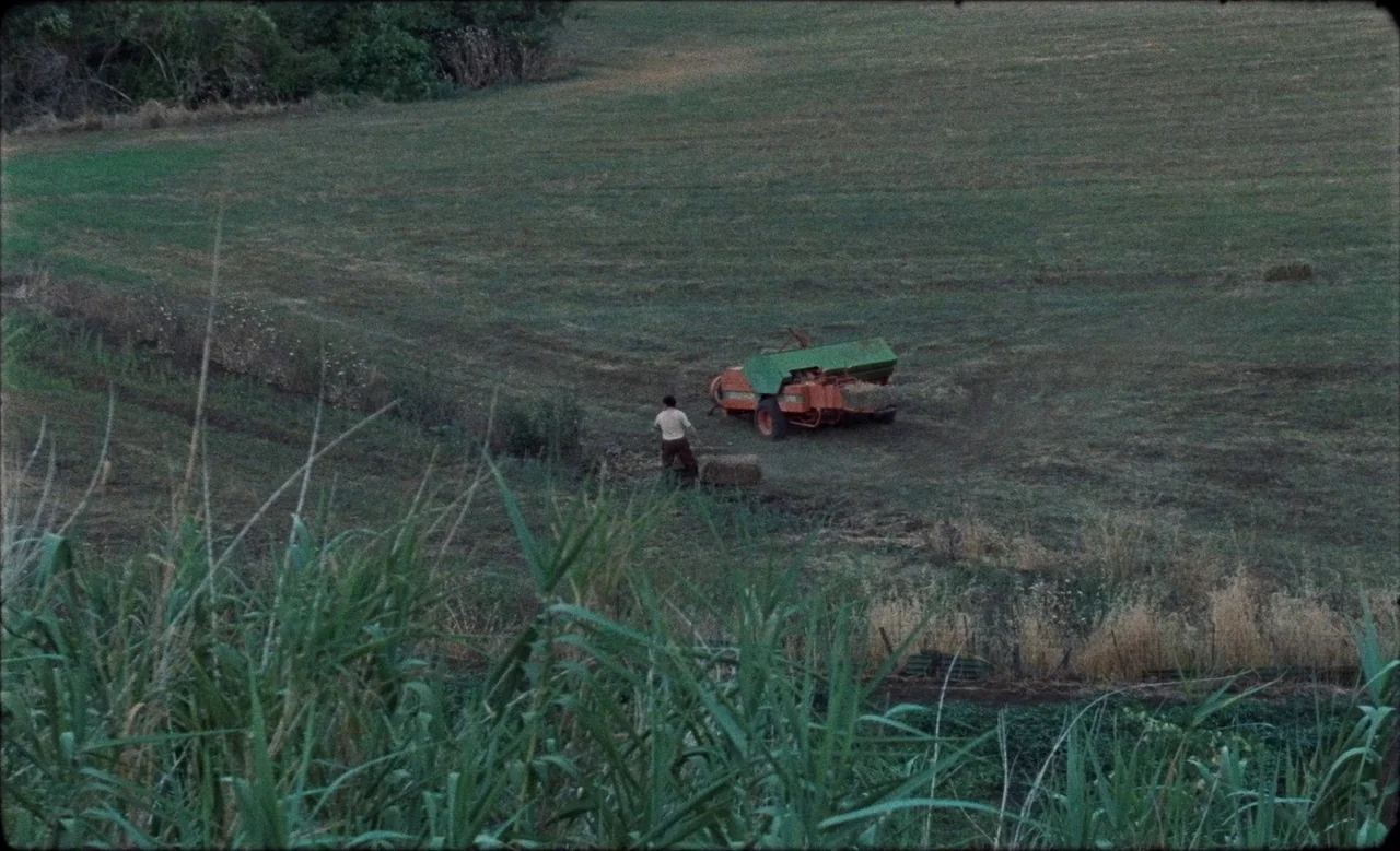 Happy as Lazzaro (2018) movie still: wide — A man walks across a grassy field toward a large, orange and green hay baler. Tall green reeds fill the…