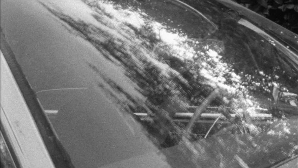 Faces (1968) movie still: closeup — A close-up view of a car windshield shows trees reflected on the curved surface. The frame is filled by the…