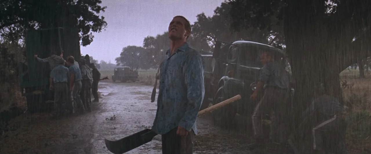 Cool Hand Luke (1967) movie still: fullbody — A rain-drenched dirt road passes by a line of trees and flat rural land. A group of men in work…