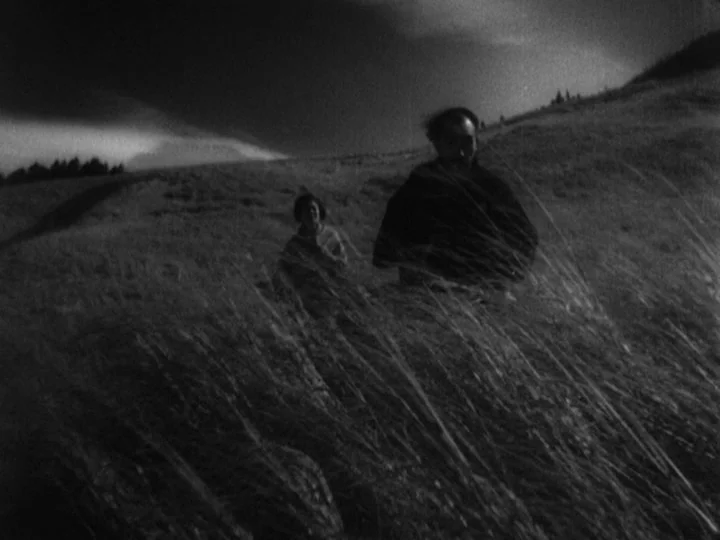 Sanshiro Sugata (1943) movie still: wide — A wind-swept hilly landscape at night filled with tall, blowing grass. A man and a woman walk through the…