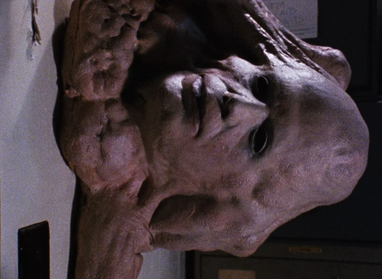 Basket Case (1982) movie still: closeup — A close-up of a grotesque, fleshy, skin-textured creature in a dark interior space. The creature is…