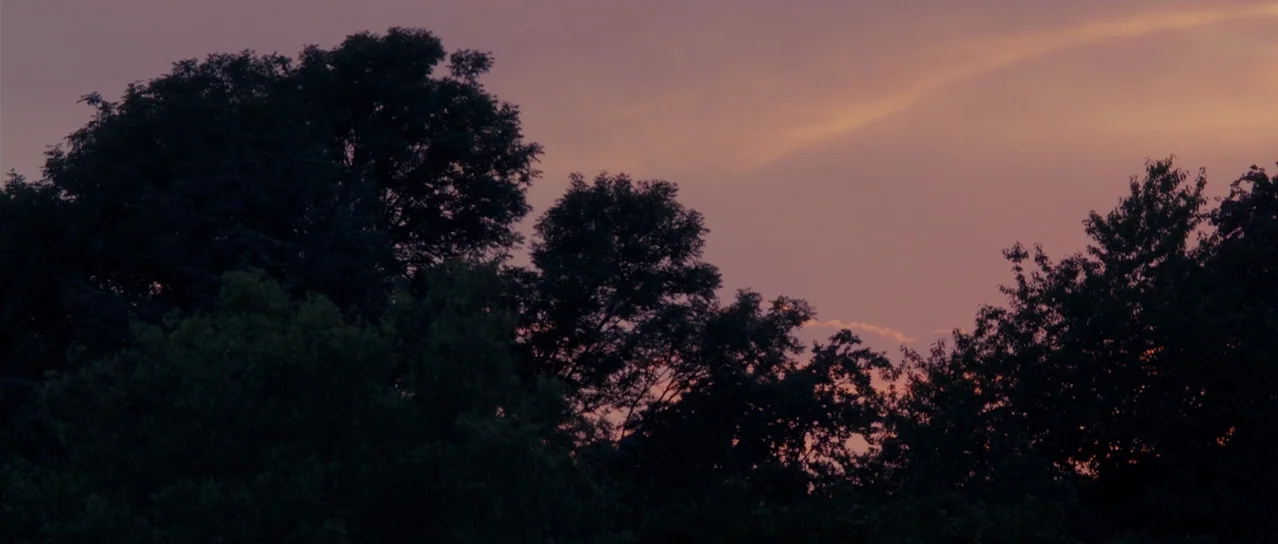 Road Games (2015) movie still: establishing — A dense line of trees forms a dark silhouette against a dusky sky. Soft light from the sunset…