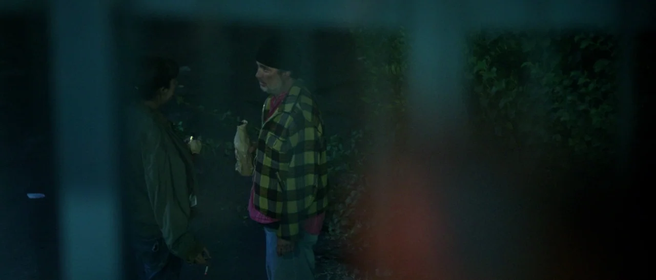 God Bless America (2011) movie still: medium — A dark, dimly lit alleyway at night featuring dense greenery in the background. Two individuals stand…