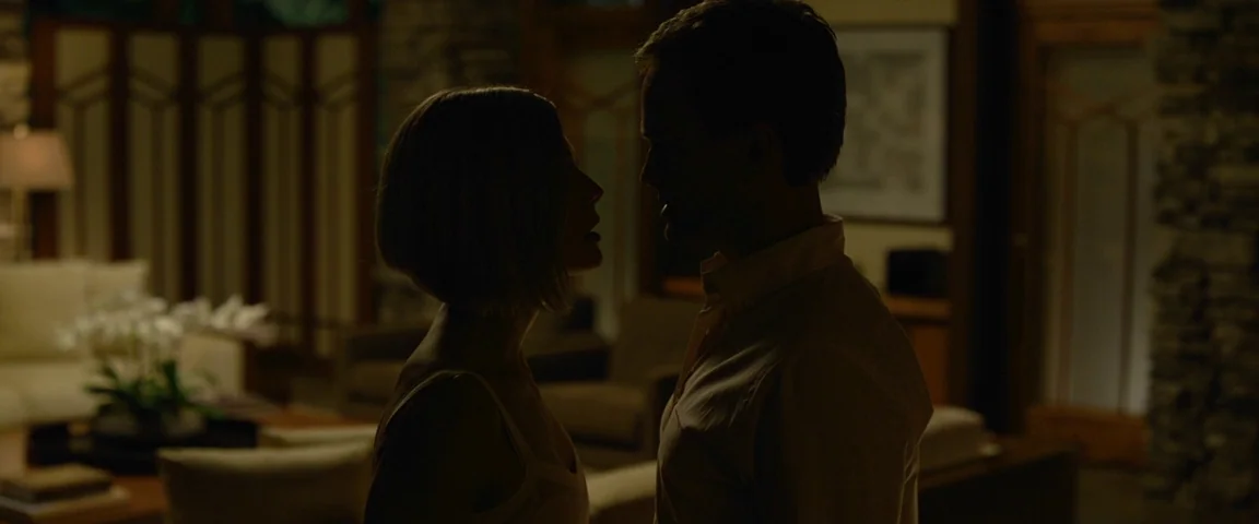 Gone Girl (2014) movie still: medium — A dark, dimly lit residential space featuring stone walls and wooden architectural accents. A man and a woman…