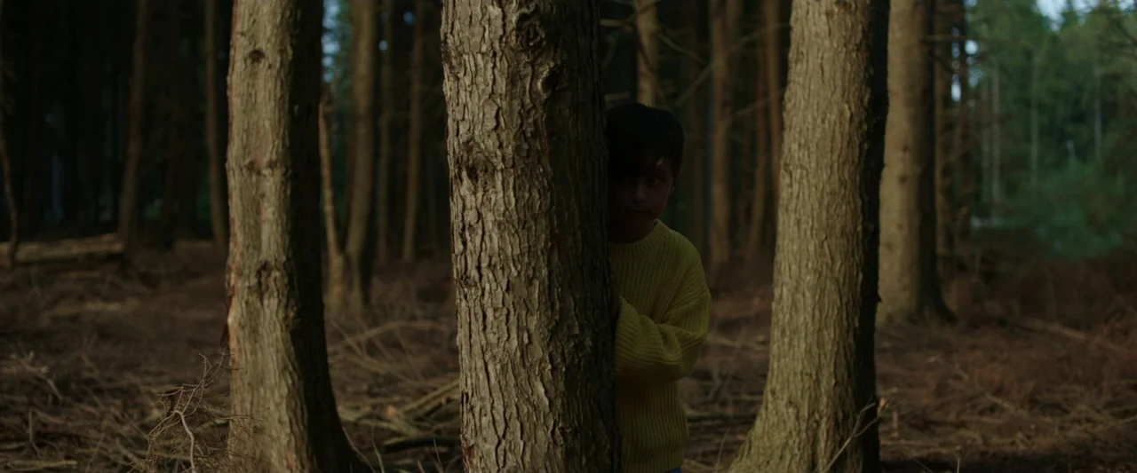 Winnie-the-Pooh: Blood and Honey 2 (2024) movie still: medium — A dense pine forest with thick vertical tree trunks and needles covering the ground.…