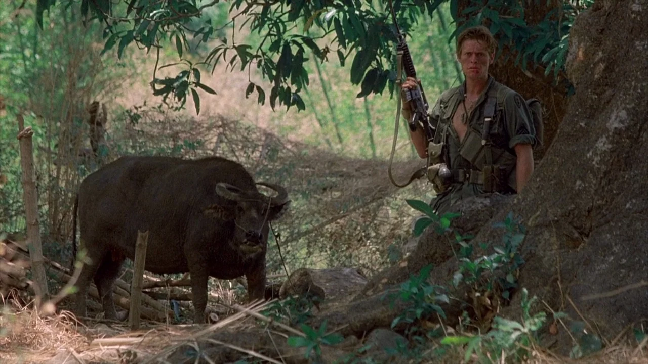 Platoon (1986) movie still: fullbody — A dense patch of rural terrain with thick foliage and an ancient large tree. A soldier in uniform stands…