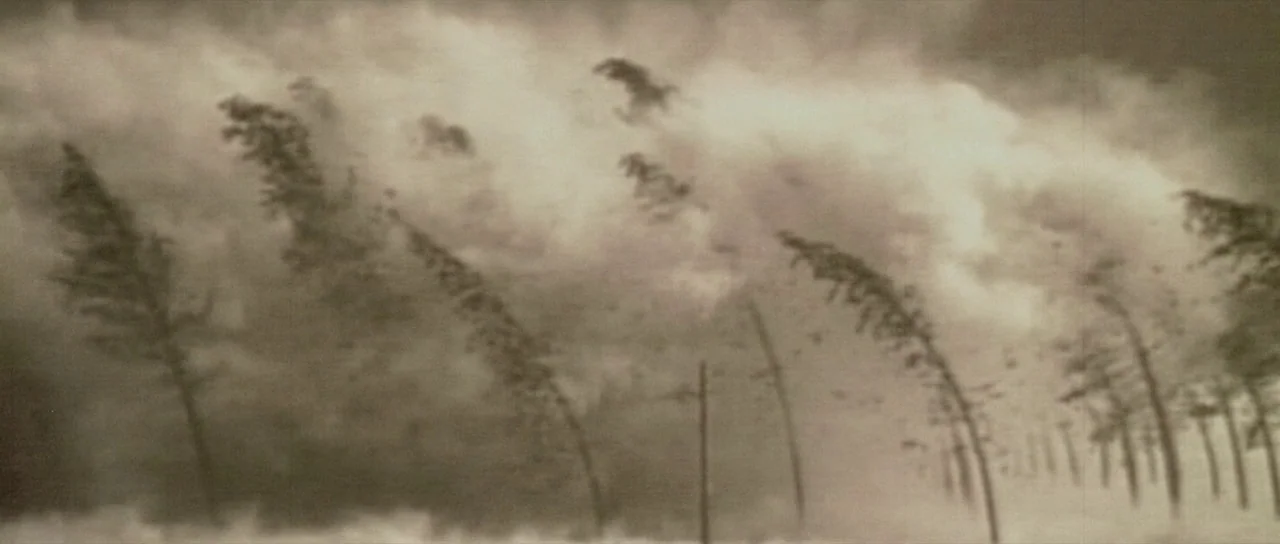 The Hills Have Eyes (2006) movie still: wide — A desolate landscape features trees bent horizontally by intense wind during a storm. Thick dust and…