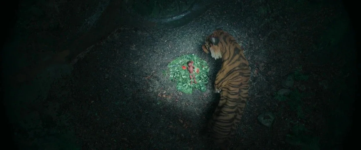 Kantara: A Legend - Chapter 1 (2025) movie still: wide — A dark, textured jungle floor is covered with scattered dark leaves and soil. A large…