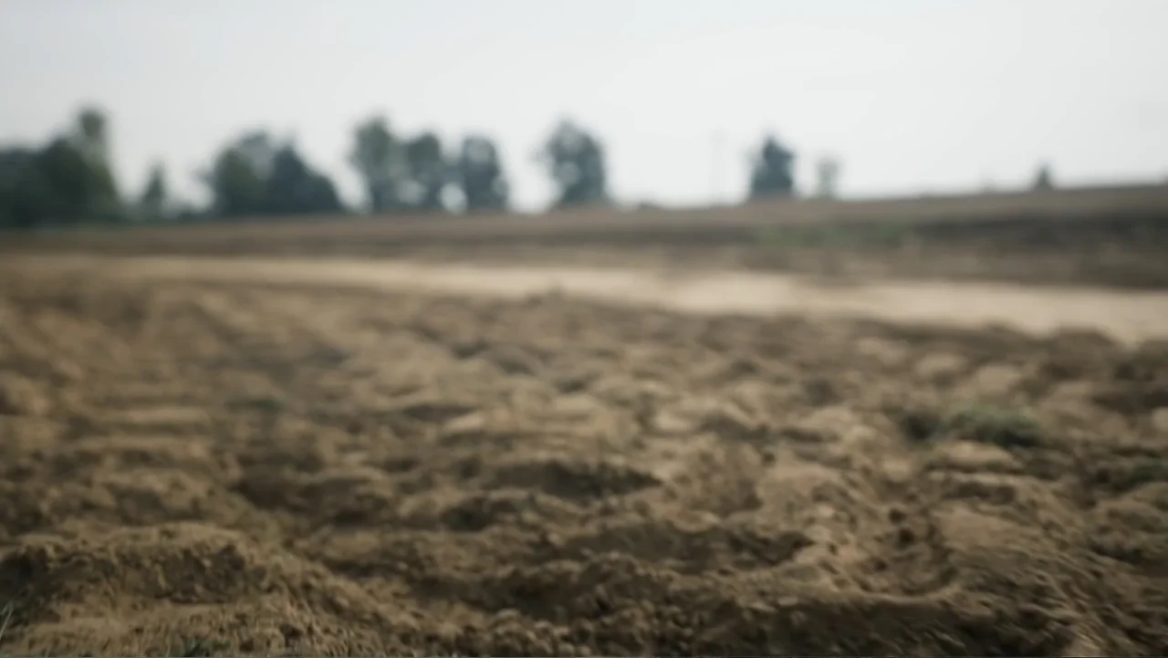 The Children of October 7 (2025) movie still: establishing — A field of freshly turned, dark brown soil stretches into a blurred horizon. Trees are…