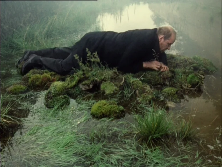Stalker (1979) movie still: medium — A man lies prone on a mossy, waterlogged bank near a shallow, misty stream. The landscape is covered in damp…