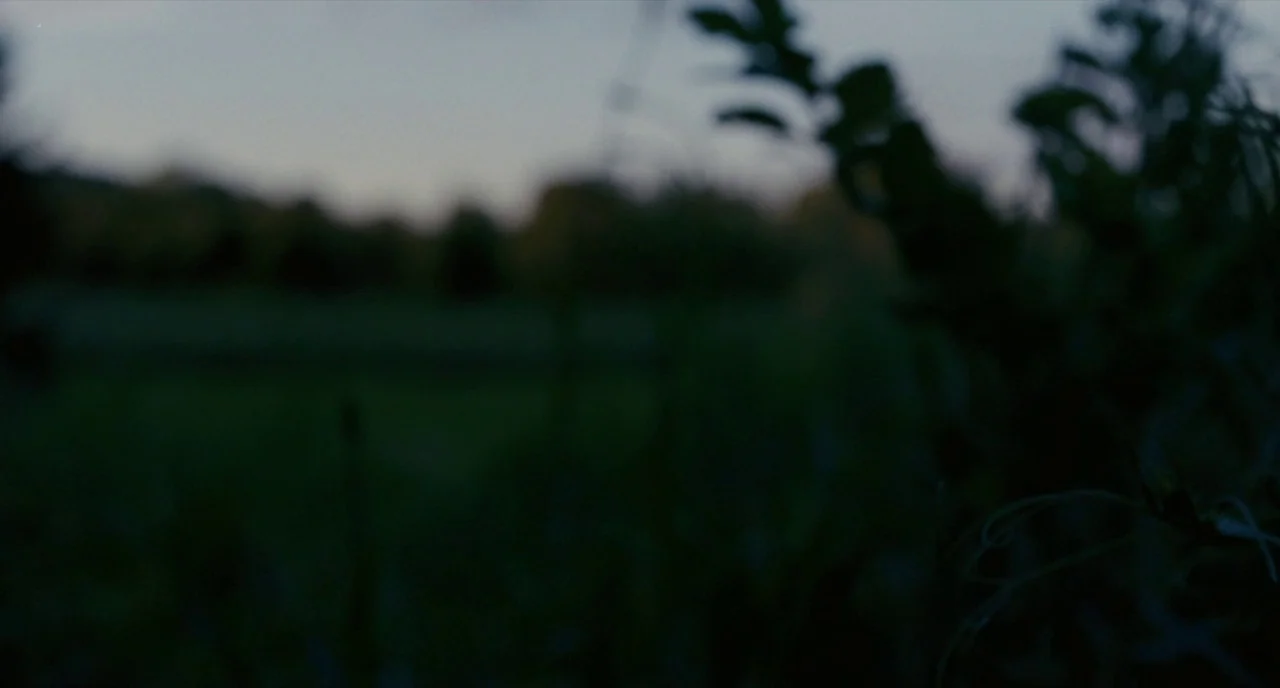 It’s Only The End Of The World (2016) movie still: establishing — A field at twilight features blurry, dark foliage in the foreground. The midground…