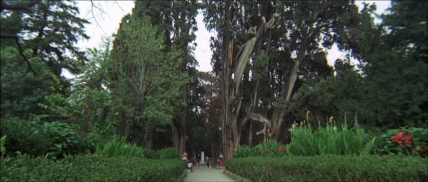 Four Flies On Grey Velvet (1971) movie still: establishing — A gravel path leads through a dense, tree-lined lane inside a public city park. Tall,…