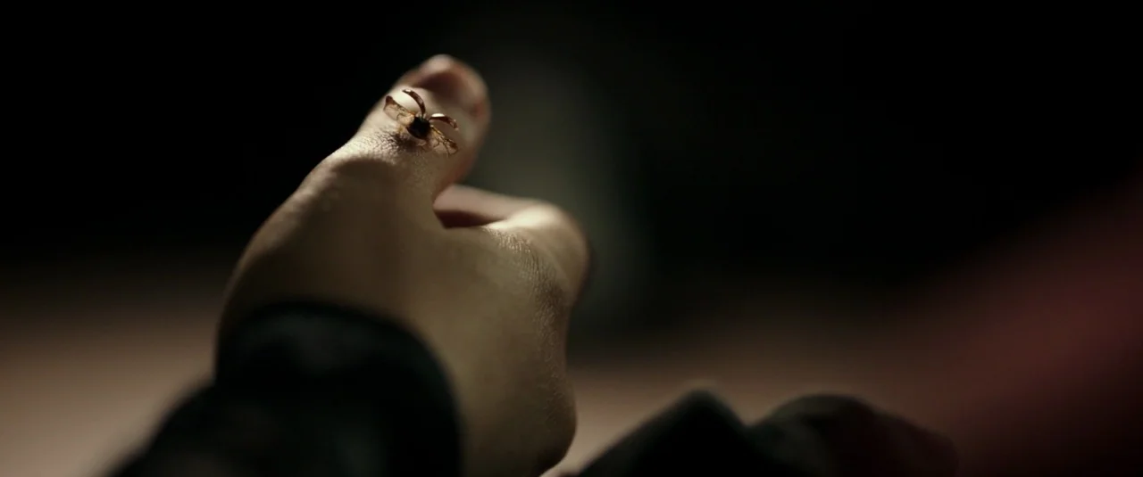 Don’t Breathe (2016) movie still: closeup — A close-up view shows a small insect resting on a human finger. The background is completely dark with…