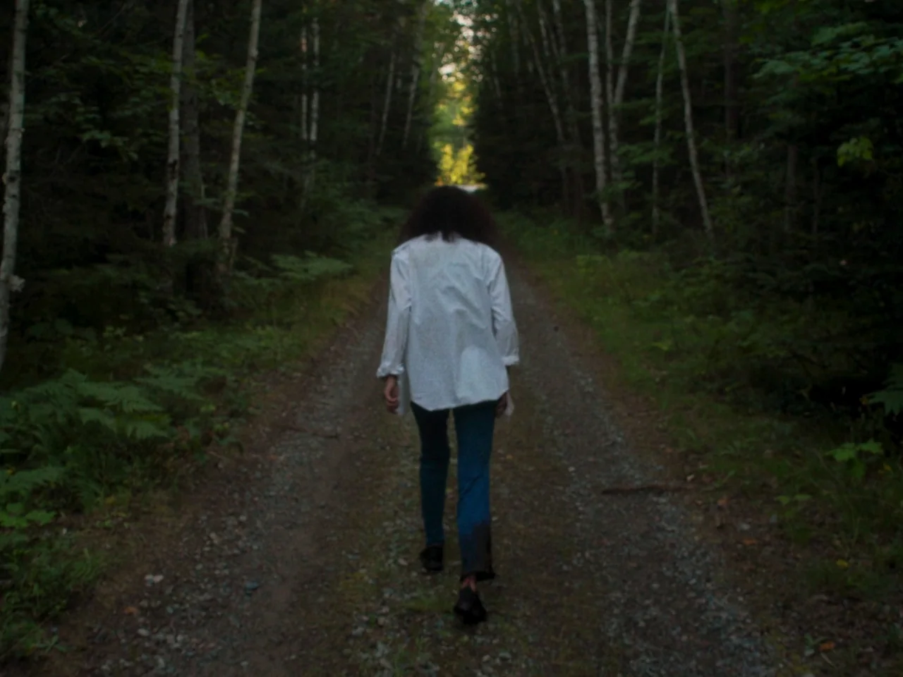 In A Violent Nature (2024) movie still: fullbody — A gravel trail runs through a dense forest with tall birch trees. A person with dark curly hair…