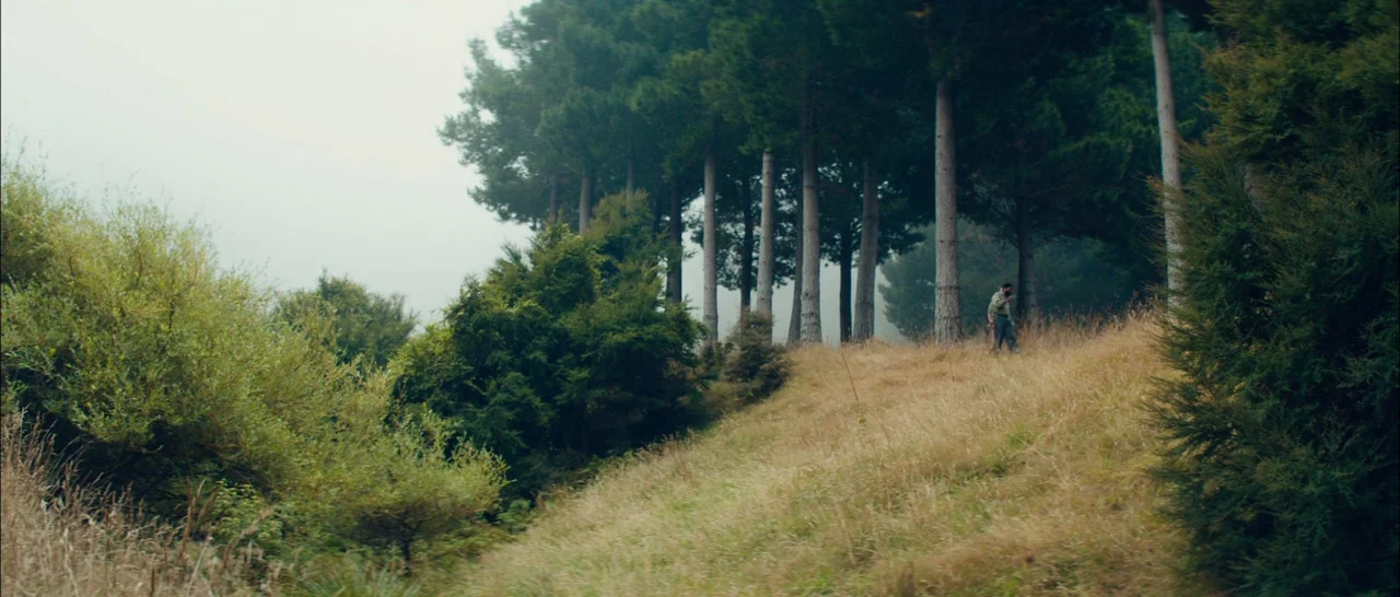 Z for Zachariah (2015) movie still: wide — A grassy slope rises toward a dense line of tall, thin pine trees. A lone man walks steadily across the…