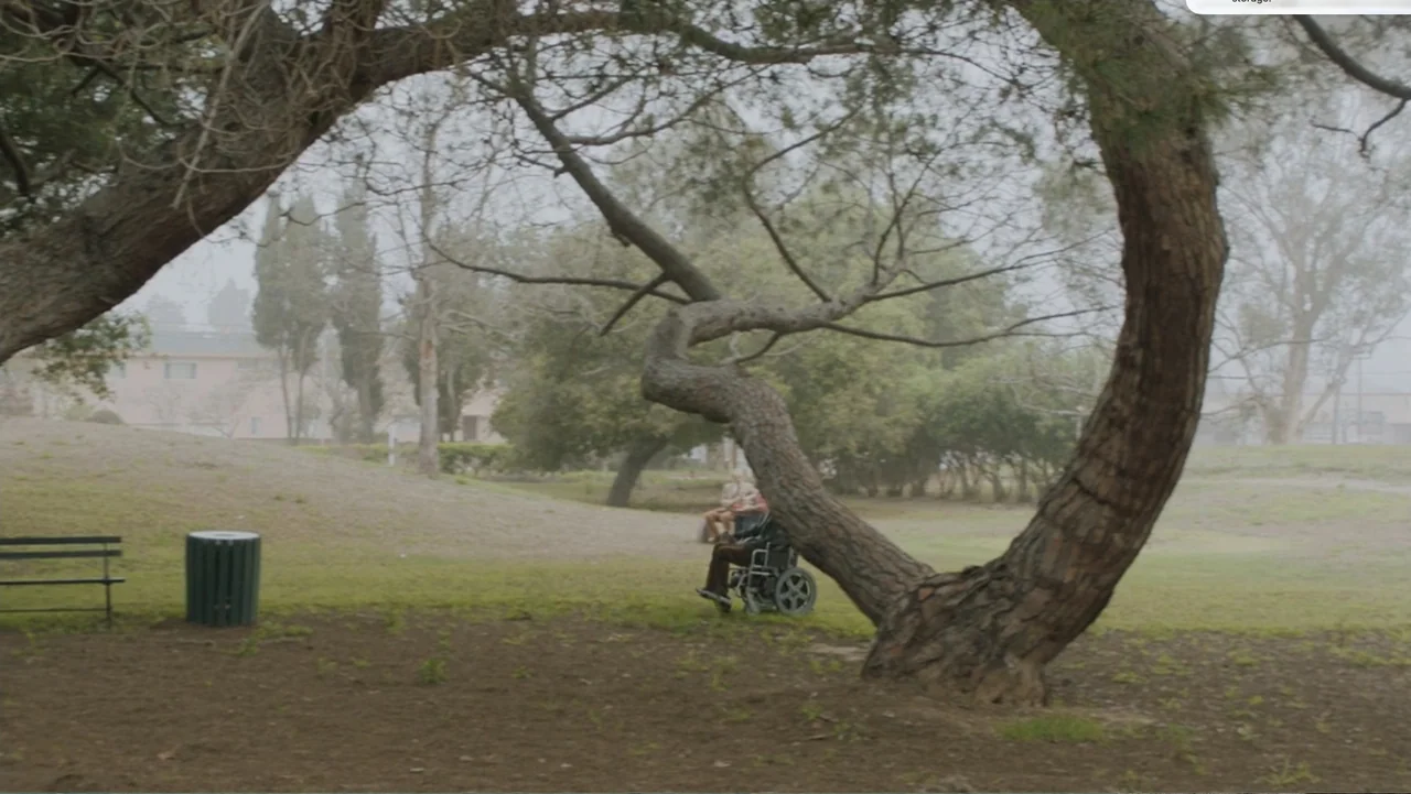 Don't Worry, He Won't Get Far on Foot (2018) movie still: wide — A flat public park with a large curved tree frame and distant residential houses.…