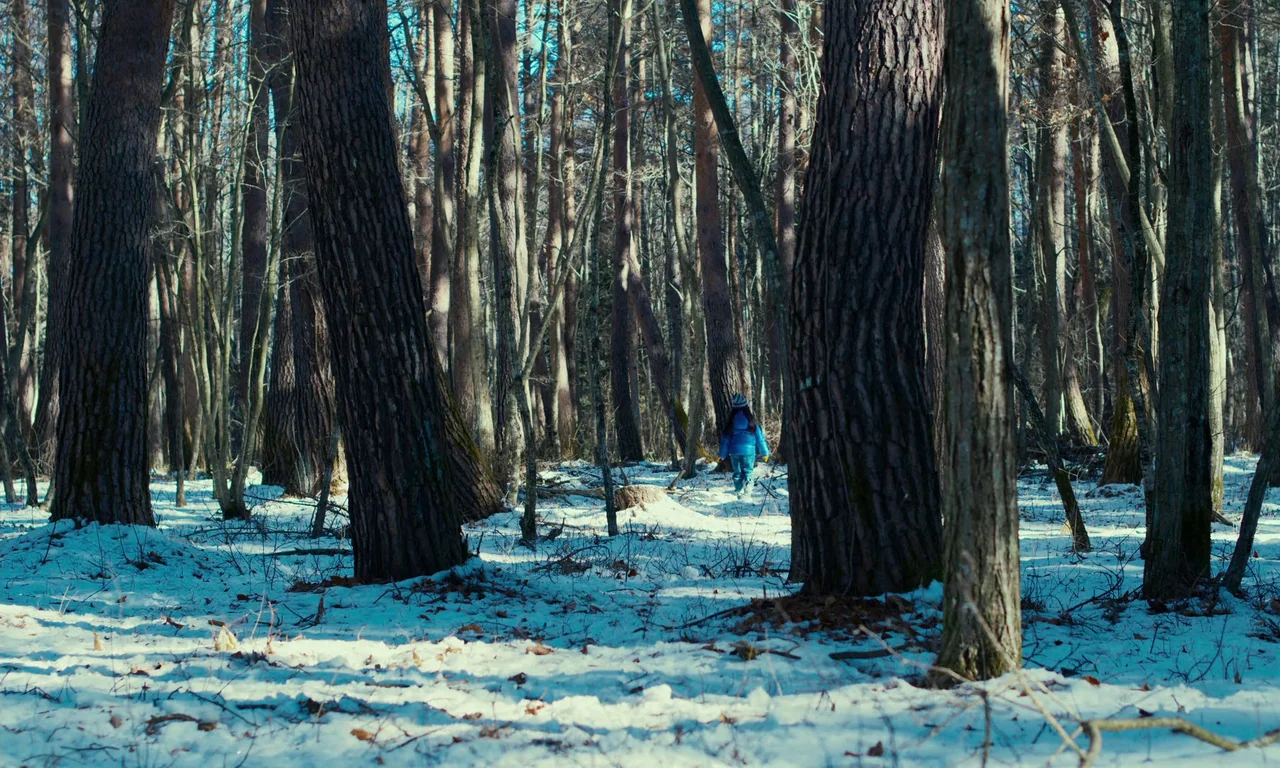 Evil Does Not Exist (2023) movie still: wide — A dense woodland area is covered with a light dusting of patchy winter snow. A small child in a blue…