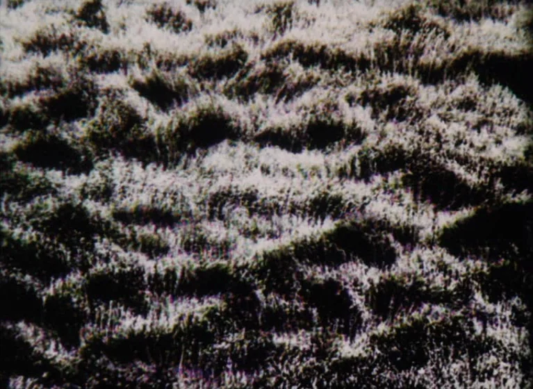 Fruit of Paradise (1970) movie still: establishing — A textured expanse of uneven grass and dirt occupies the entire frame. The ground shows…