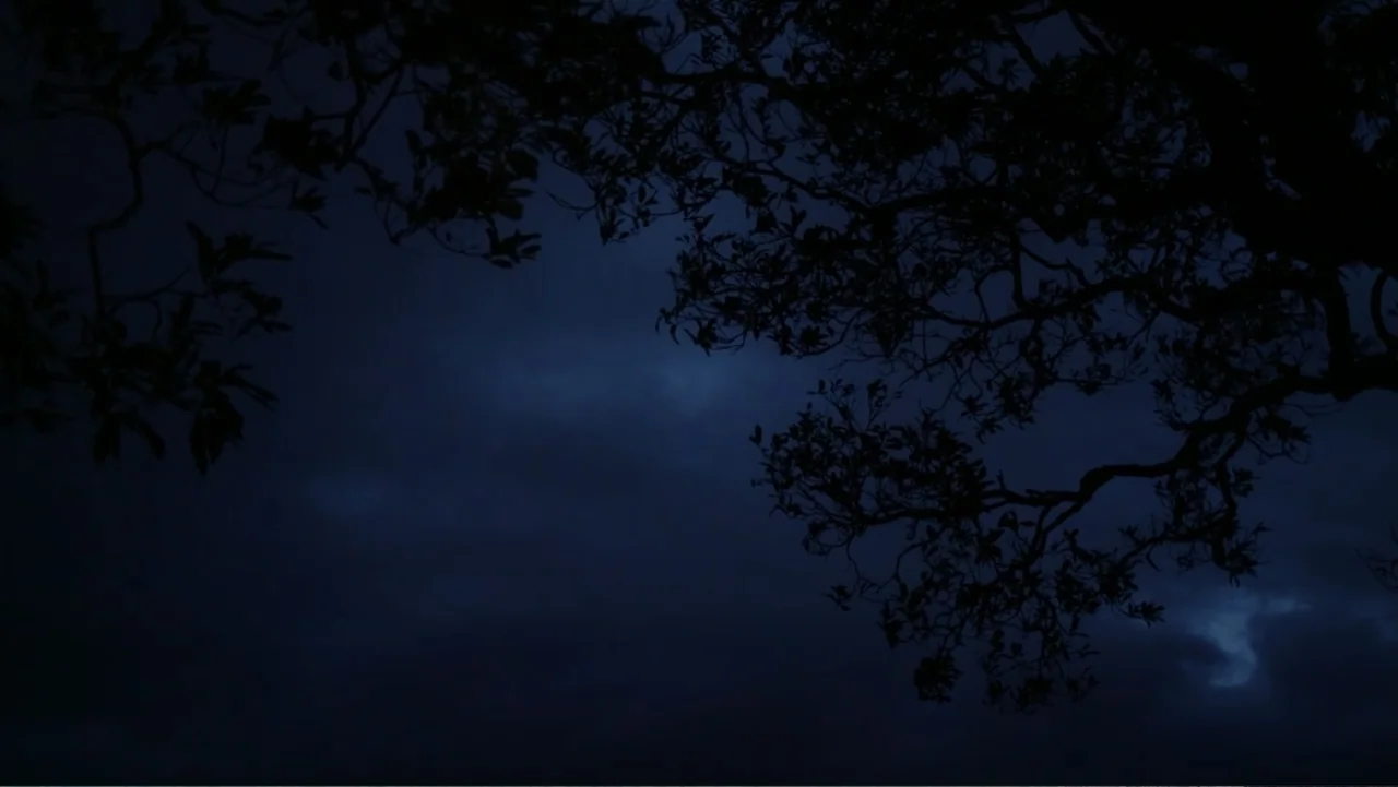 The Forever Prisoner (2021) movie still: establishing — A dark night sky is obscured by heavy cloud cover. Silhouetted tree branches frame the upper…