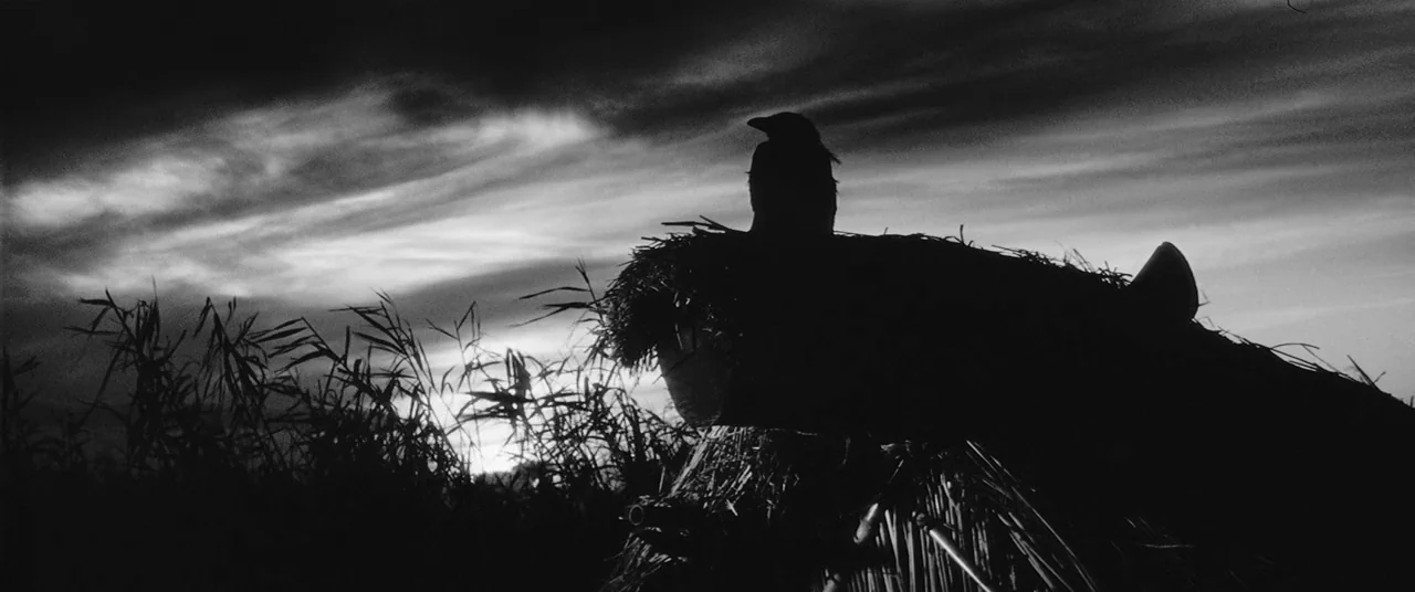 Onibaba (1964) movie still: wide — A dark, textured thatched structure sits amidst tall grass under a cloudy sunset sky. A lone crow stands…